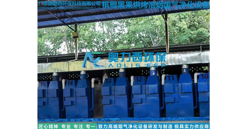 海南槟榔烘干烟气应用如何处理？
